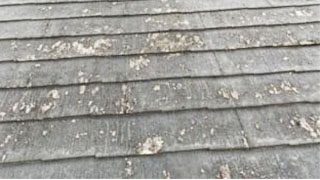 ニューコロニアル