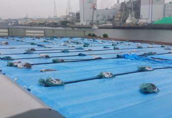 現場調査 折板屋根ブルーシート