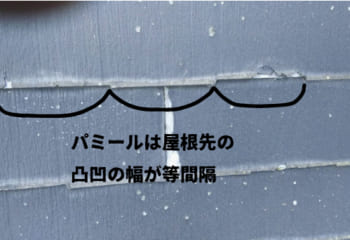 パミール 見分け方
