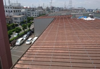現場調査の様子