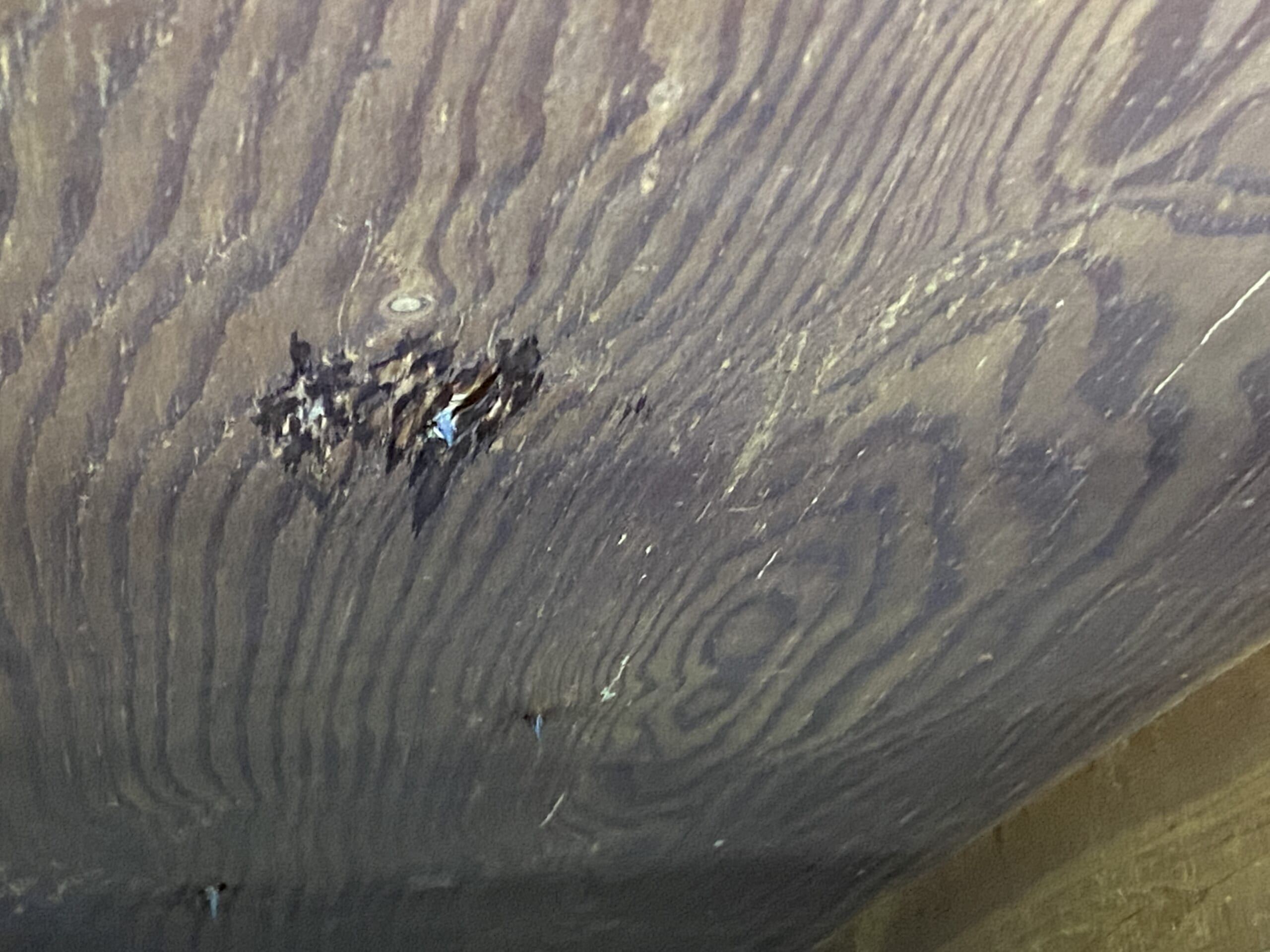 屋根材を固定する釘からの雨漏り