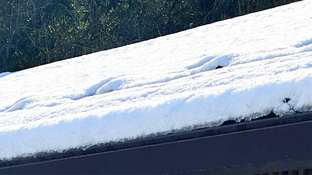 雪が積もった屋根