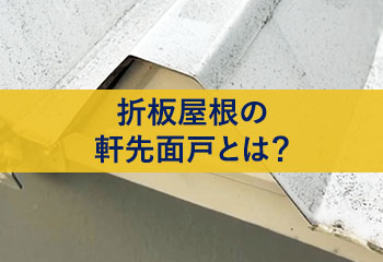 折板屋根の軒先面戸とは？軒先面戸の雨漏りや鳥害リスクについて