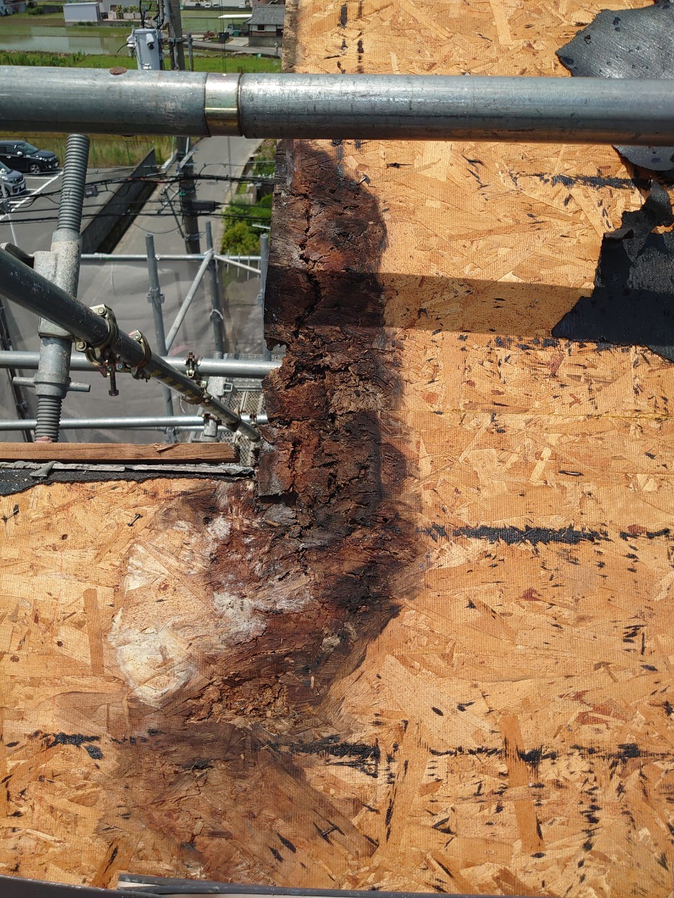 雨漏りで腐食した野地板