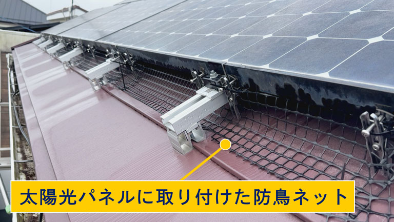 太陽光パネルに取り付けた防鳥ネット