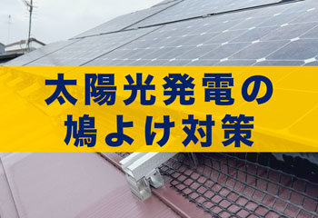 太陽光発電の鳩よけ対策・対策方法６選と施工事例