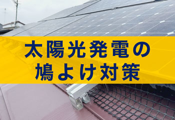 太陽光発電の鳩よけ対策・対策方法６選と施工事例