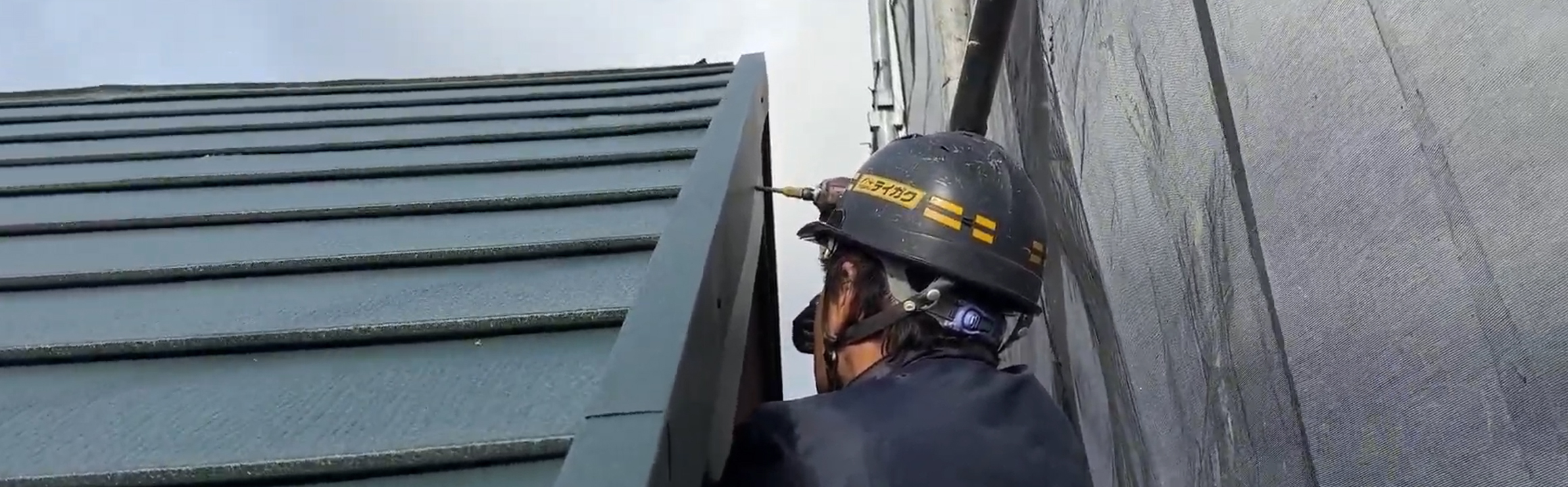 テイガクの職人