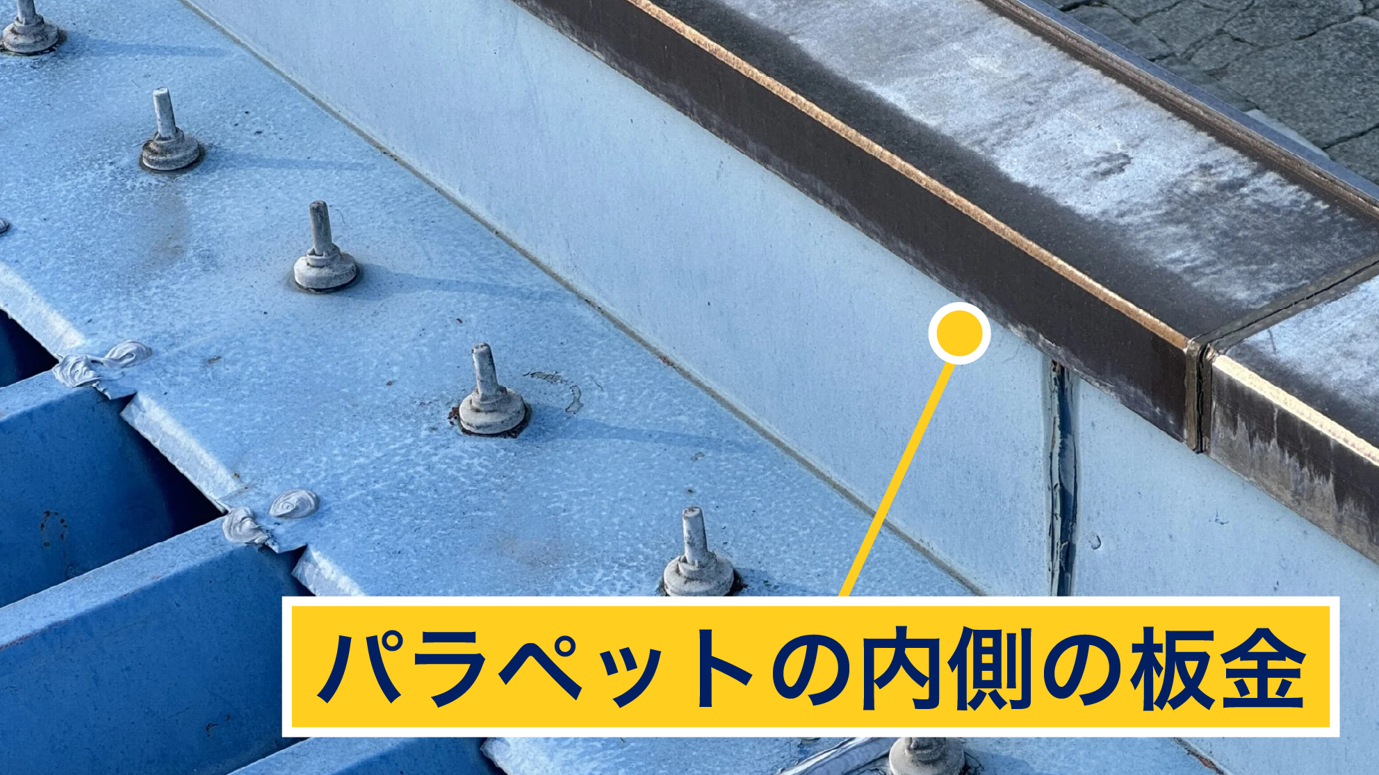 パラペット