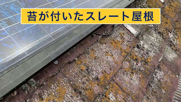 苔が付いたスレート屋根