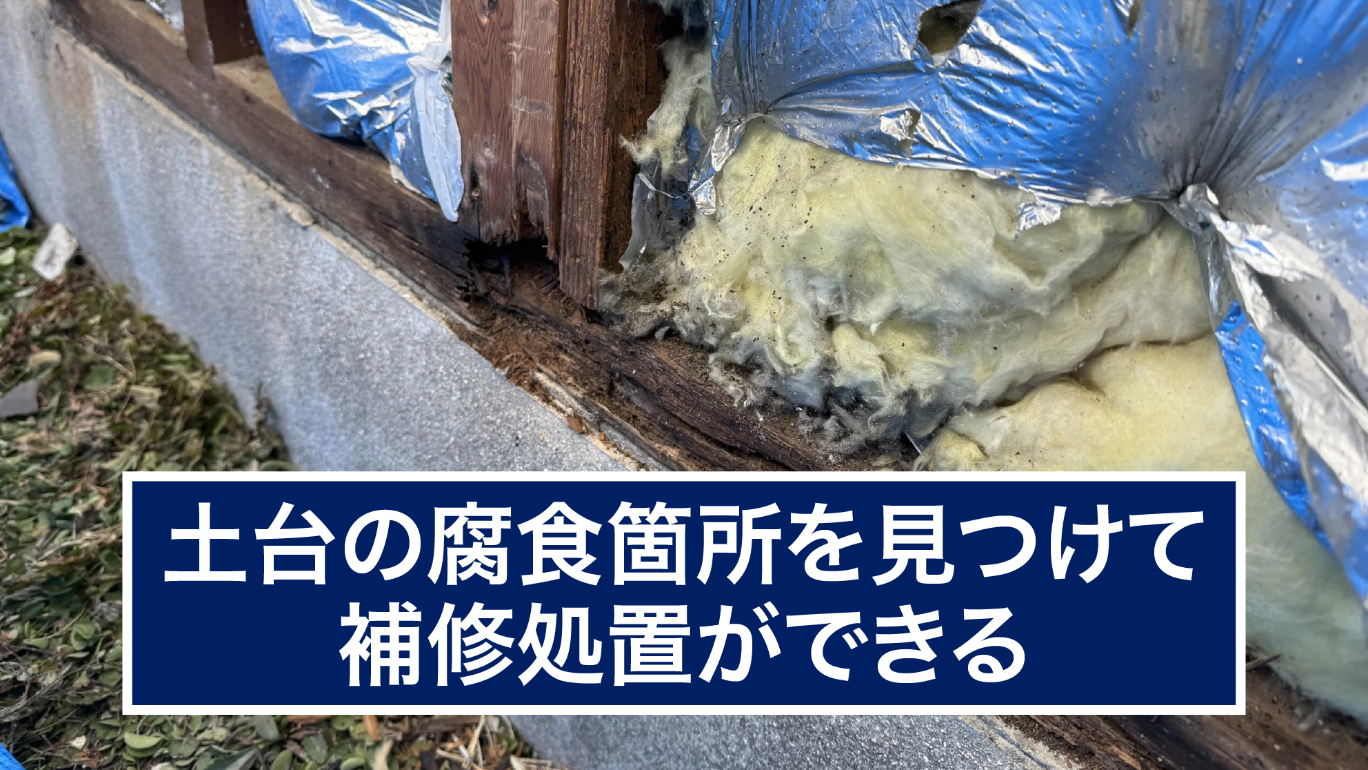 腐食やカビの繁殖