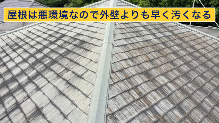 屋根は悪環境なので外壁よりも早く汚くなる