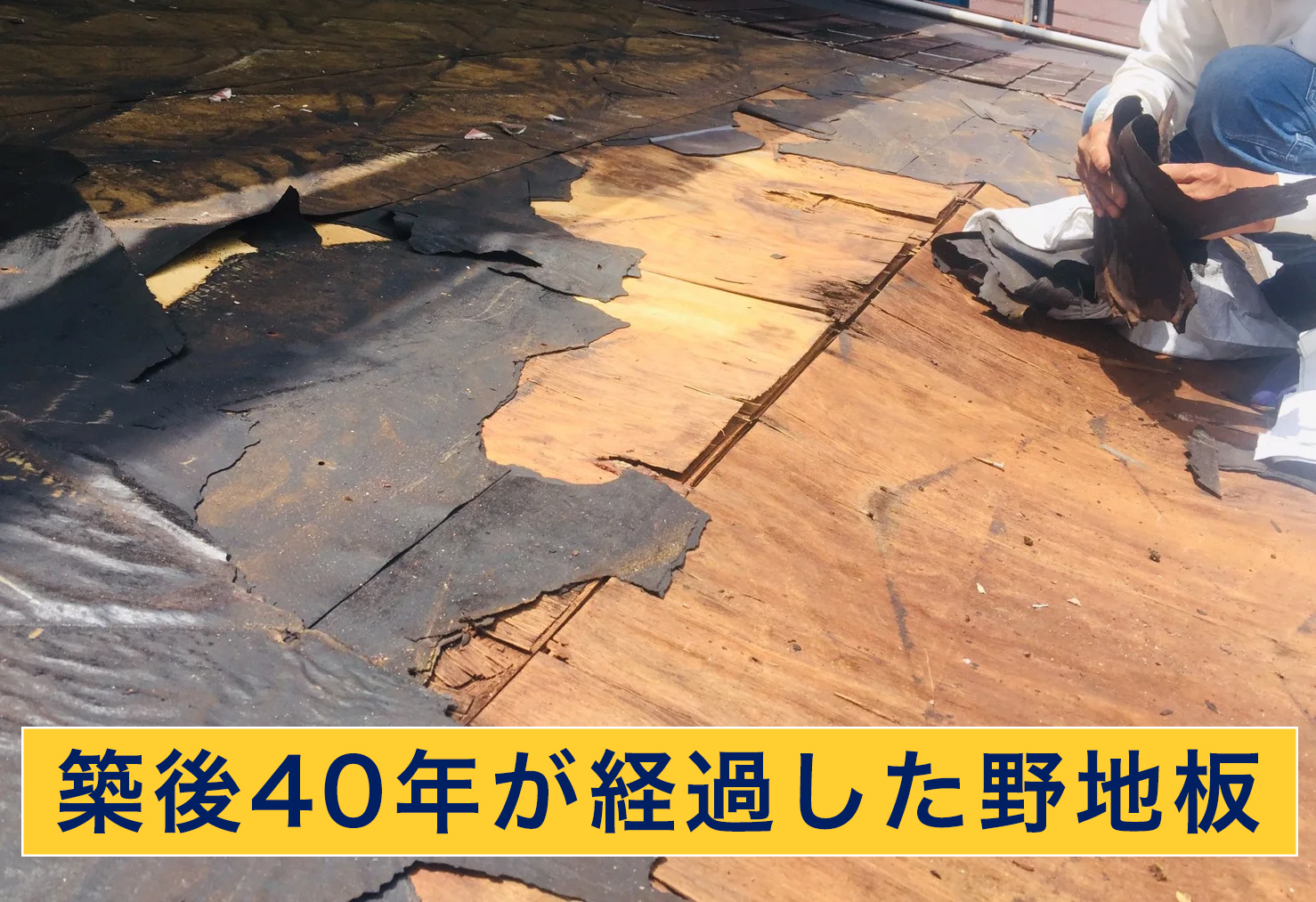 腐食した野地板