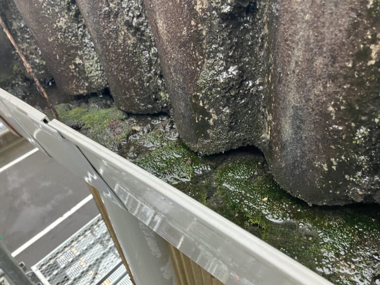 ヘドロが溜まっている雨どいの中