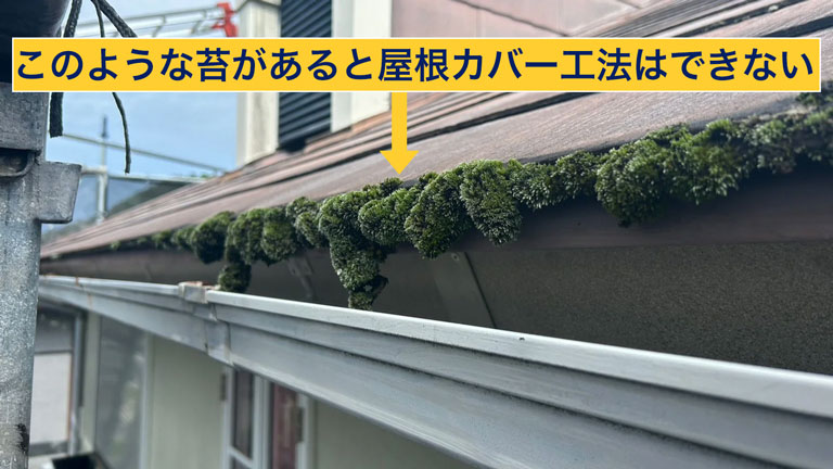 屋根に大きな苔があると屋根カバー工法はできない