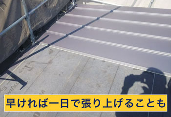 立平葺きは早ければ一日で張り上げることも可能