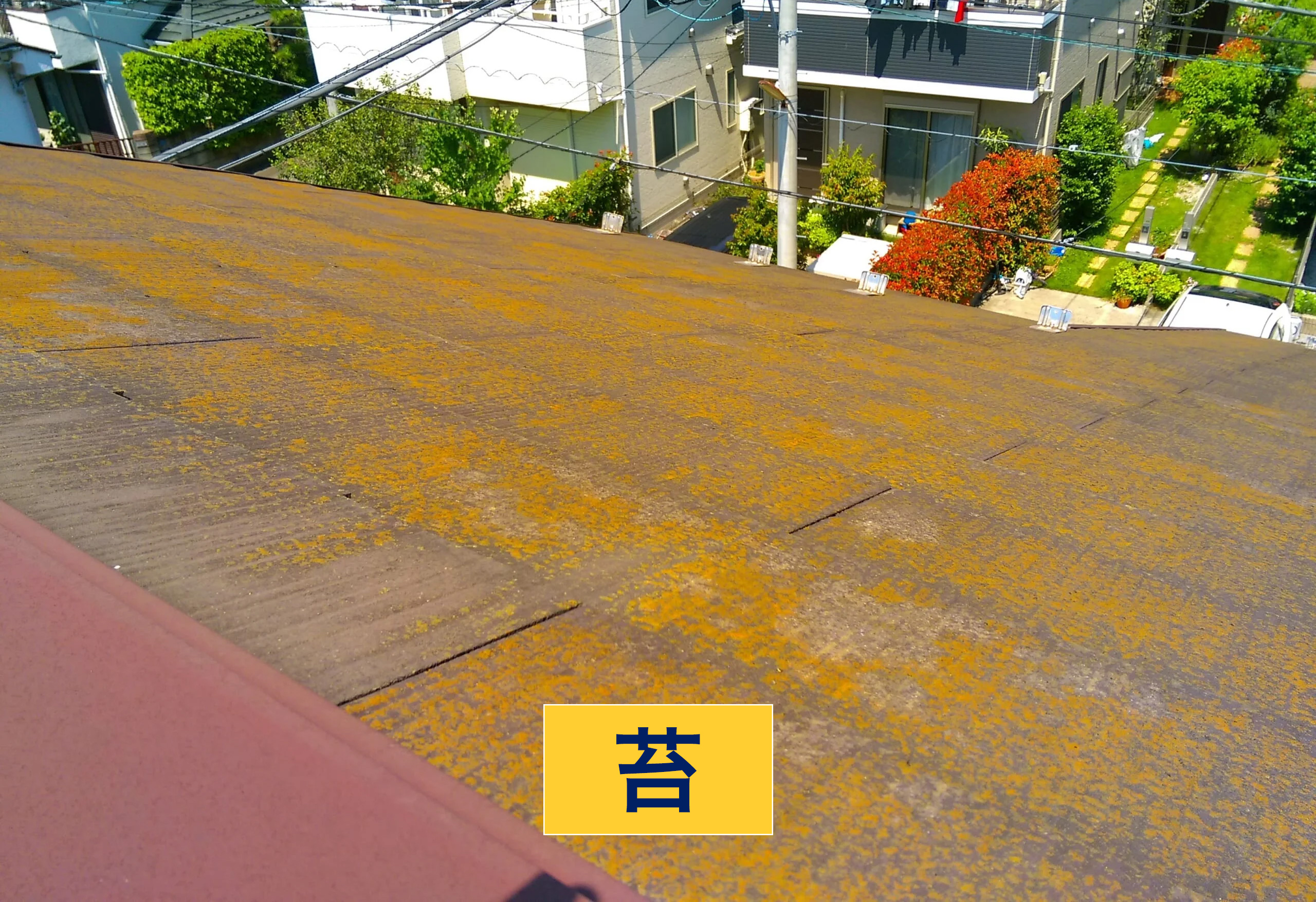 苔がついた屋根