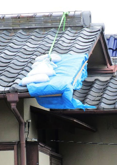 処置した屋根