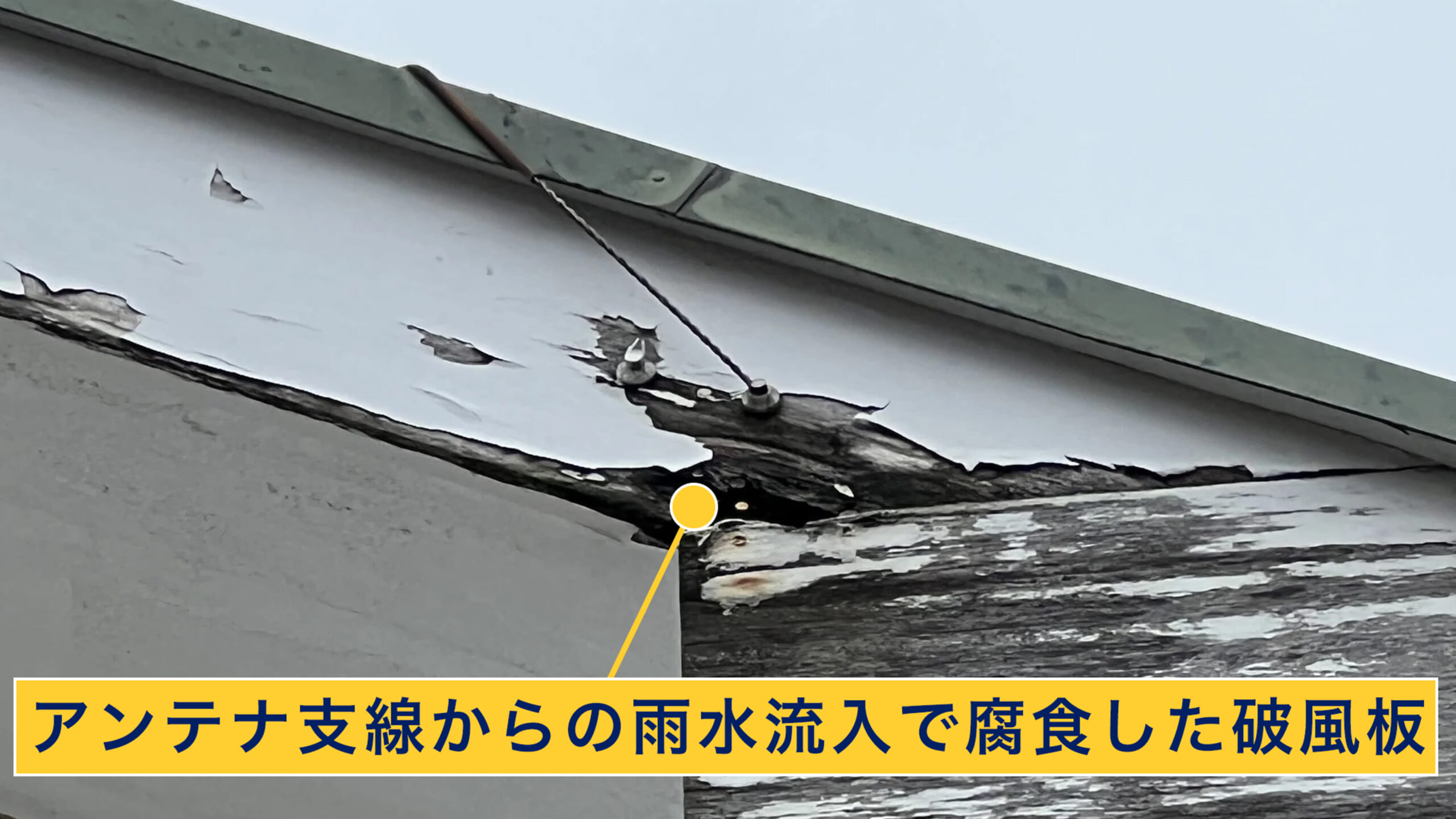 アンテナ支線からの雨水で腐食した破風板