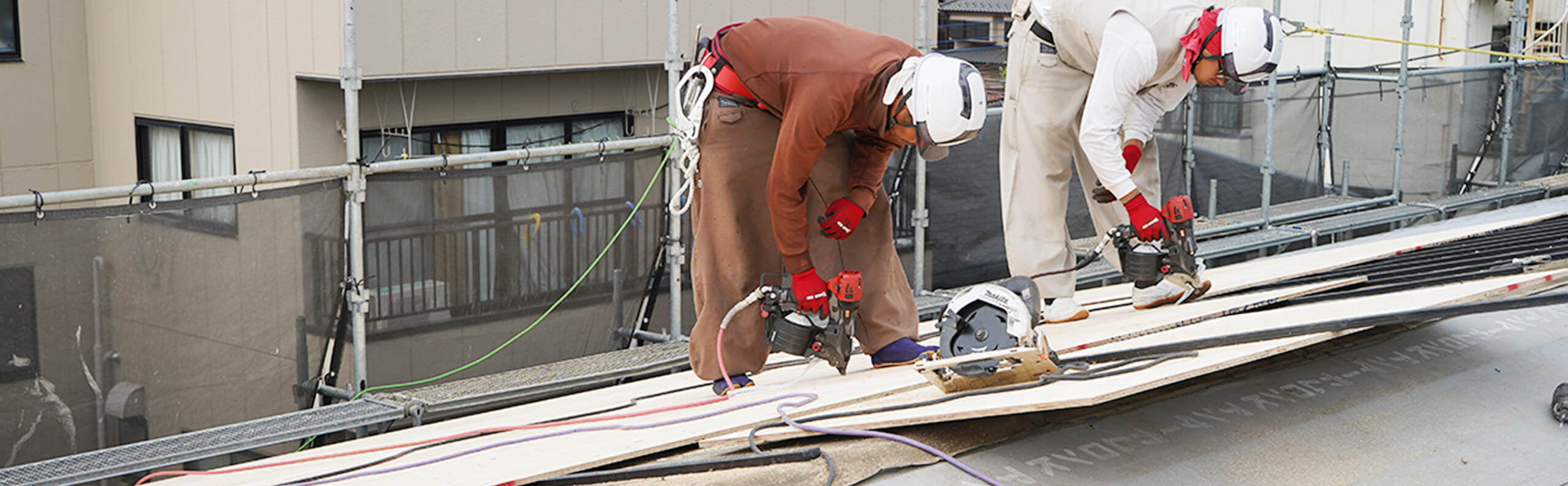 テイガクの職人