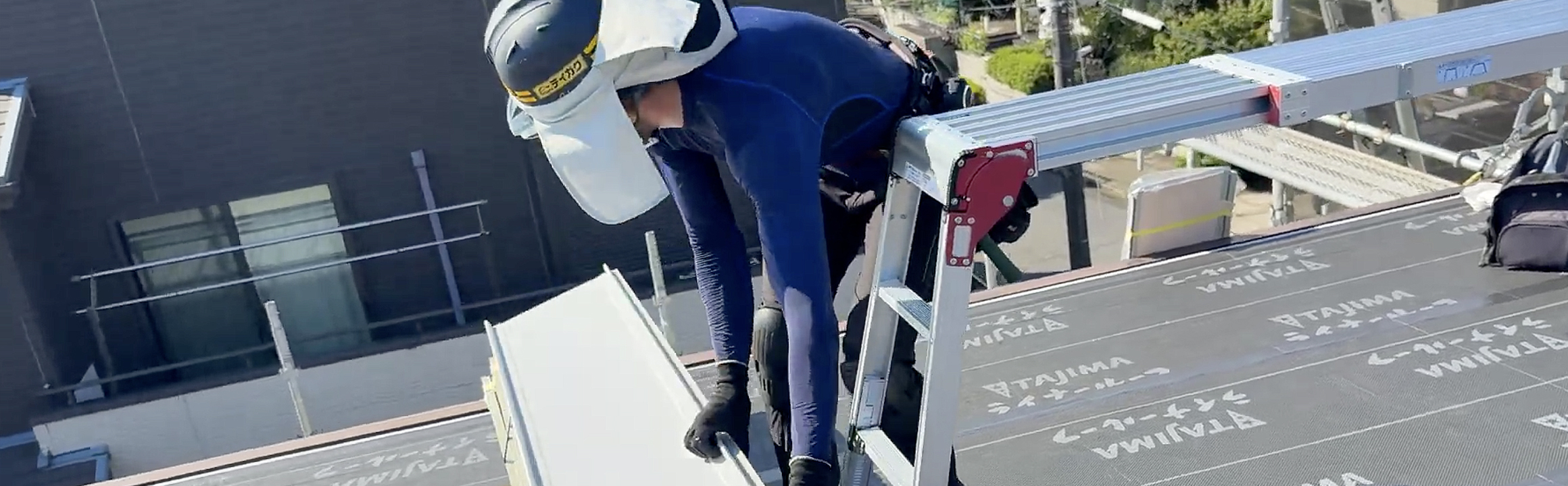 テイガクの職人