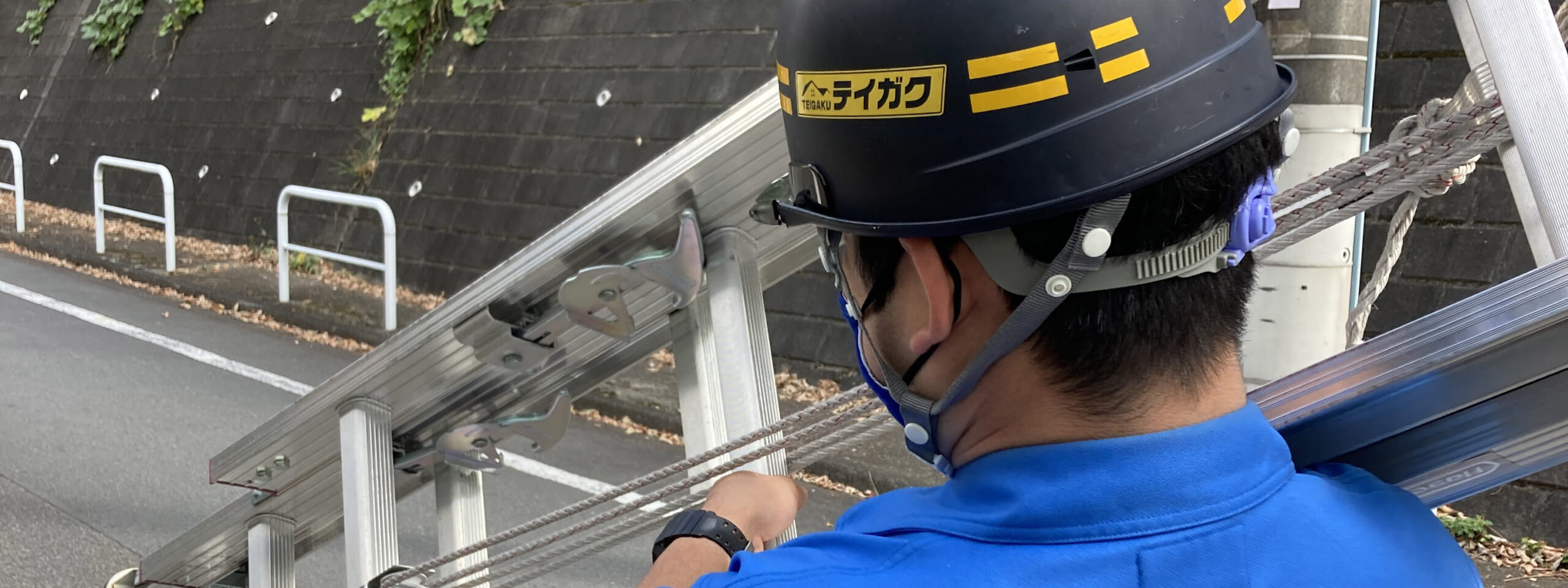 現地調査
