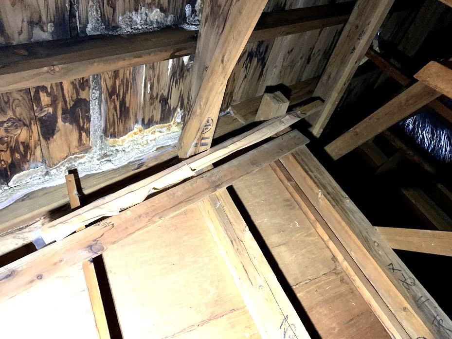 雨漏りした屋根