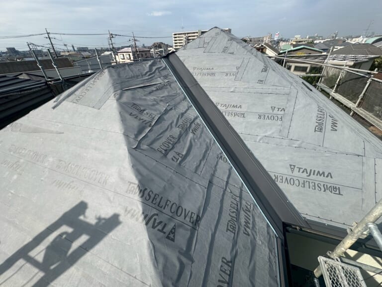 タディスセルフカバー