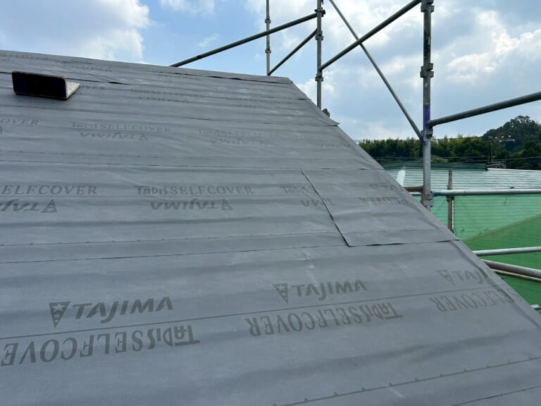 タディスセルフカバー