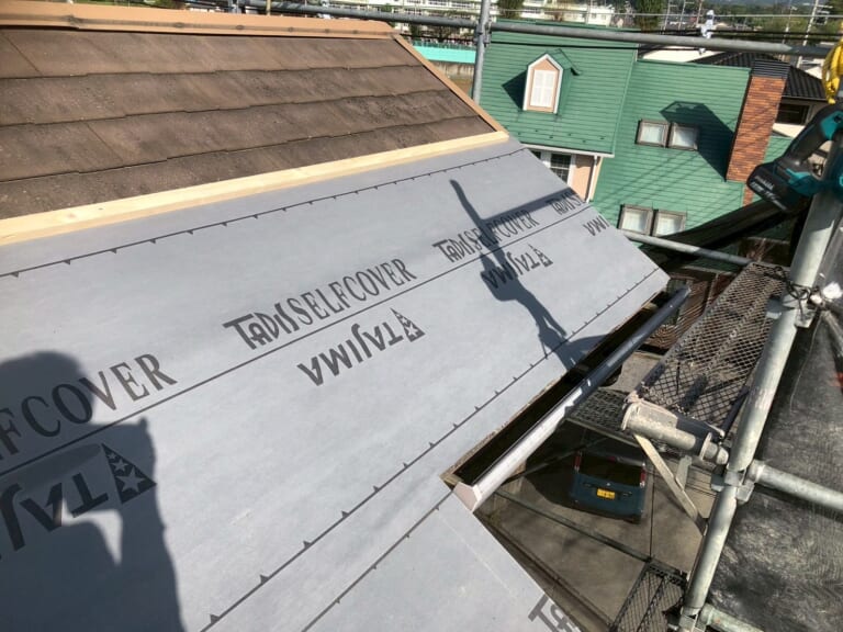 タディスセルフカバー