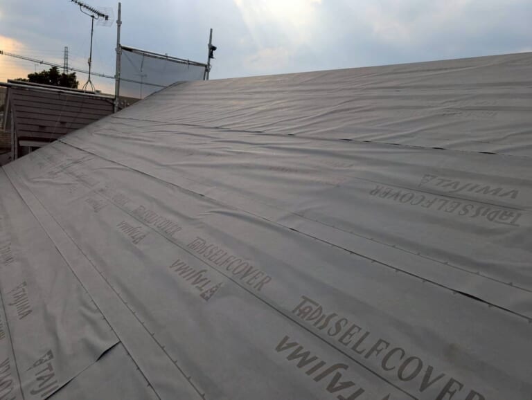 タディスセルフカバー