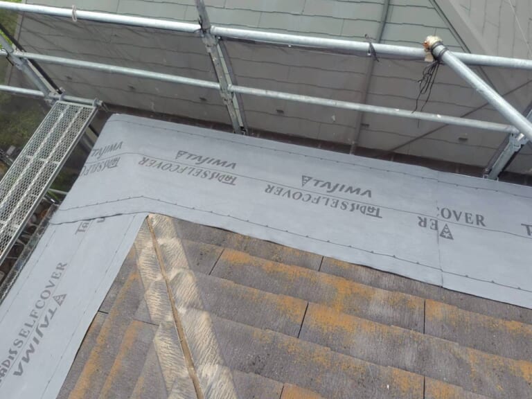 タディスセルフカバー