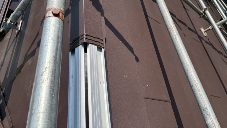 エスヌキの写真