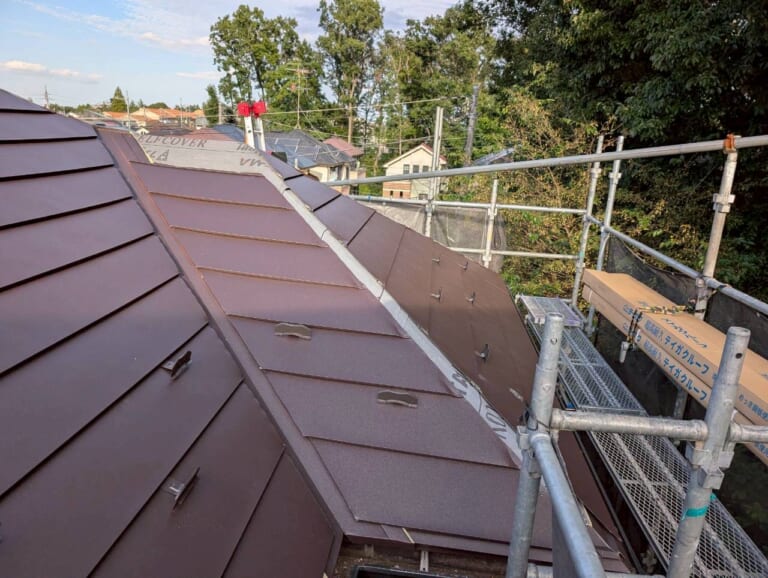 テイガクルーフの写真