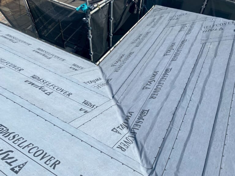 タディスセルフカバー