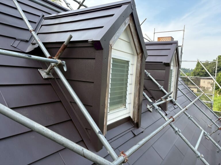 ドーマーの写真