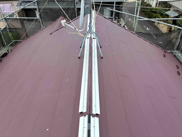 エスヌキの写真