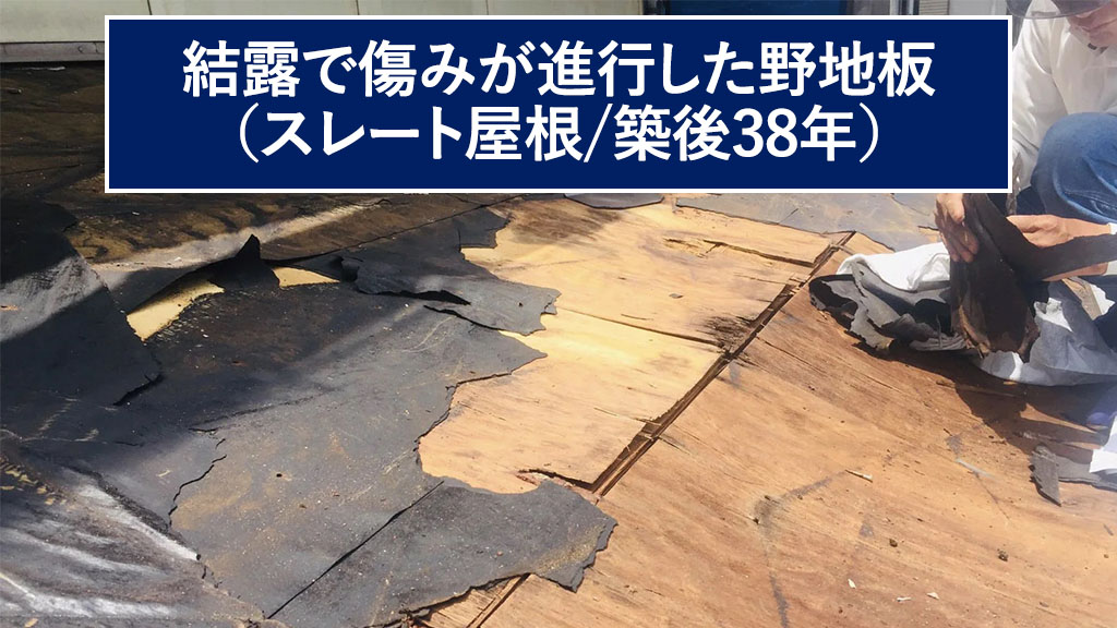 結露で傷みが進行した野地板