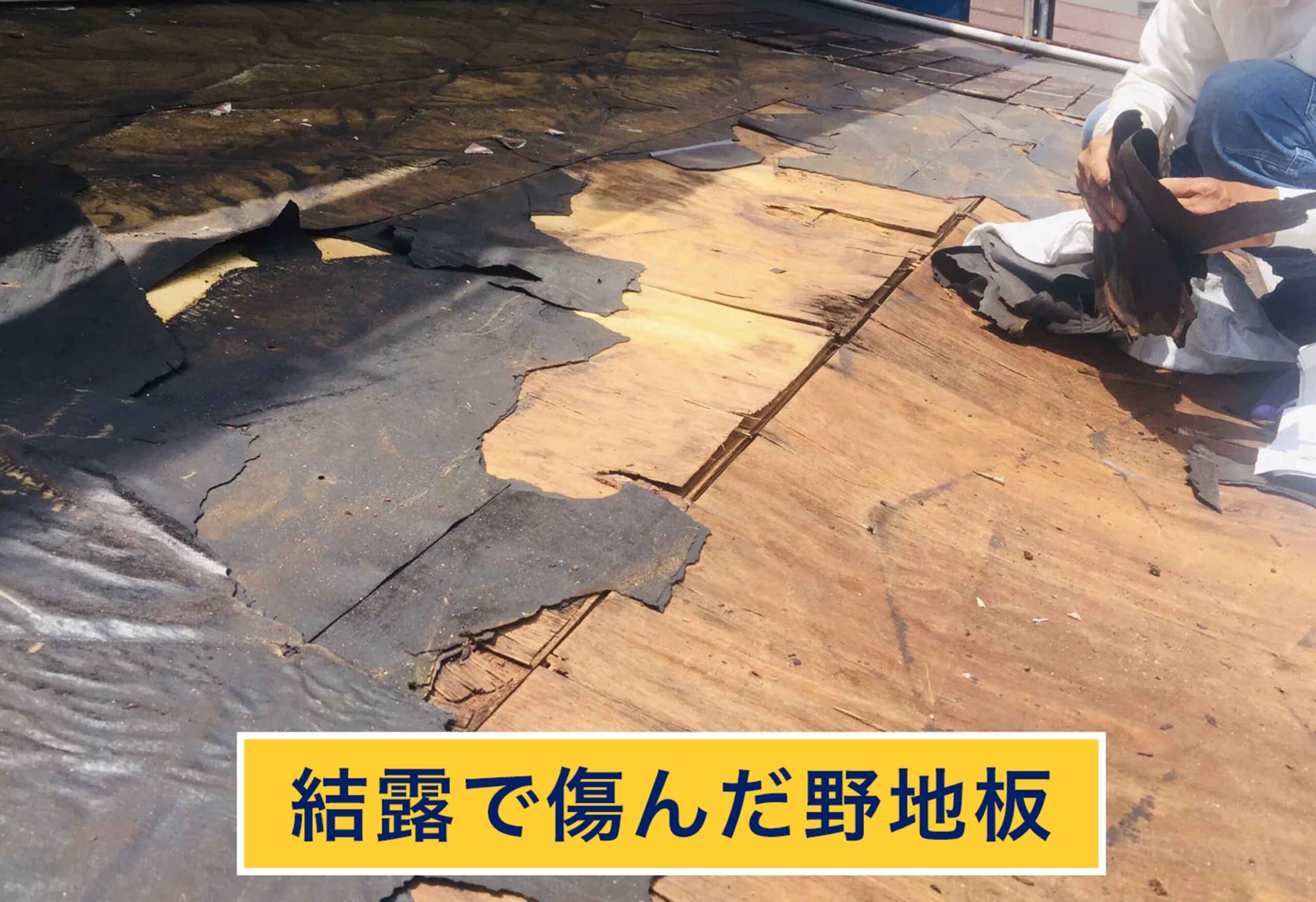 結露で傷んだ野地板