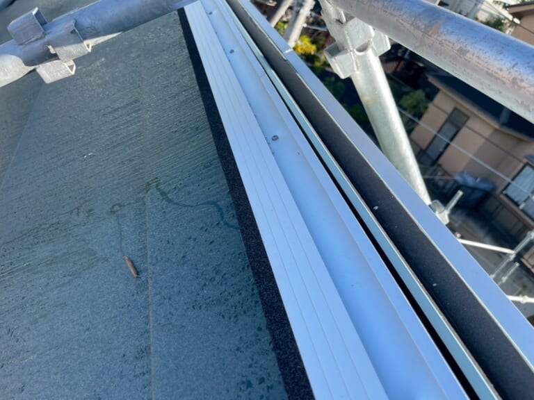 エスヌキの写真