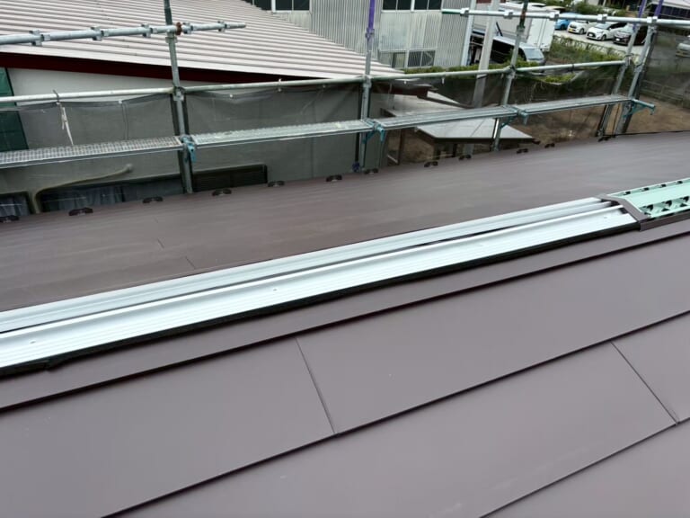 エスヌキの写真