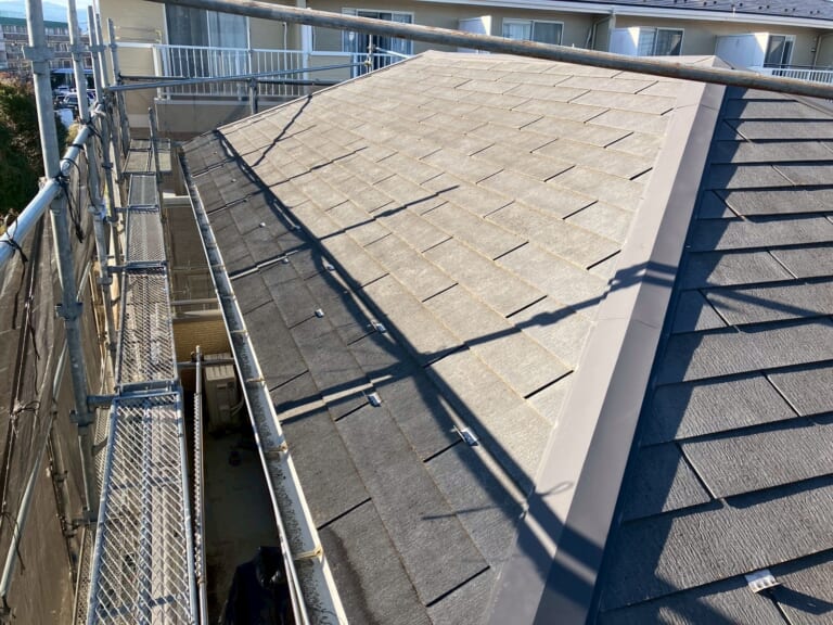 テイガク施工前の屋根