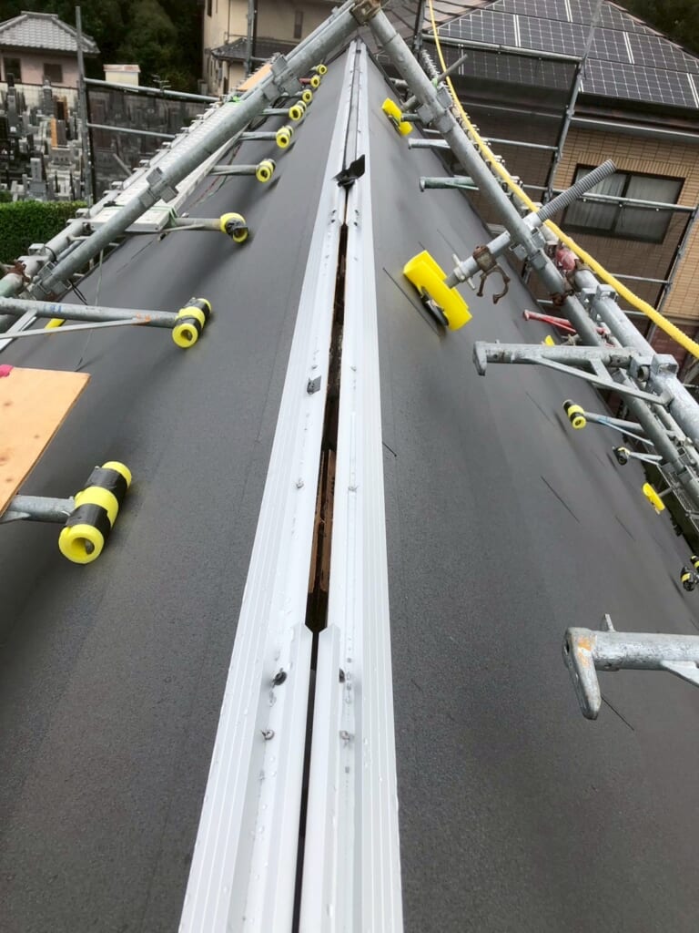 エスヌキの写真