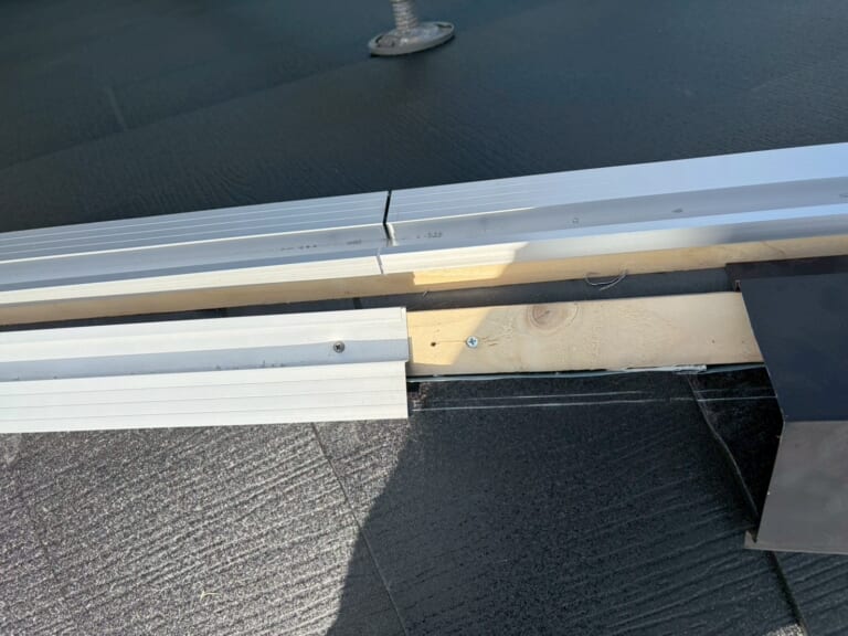 エスヌキの写真