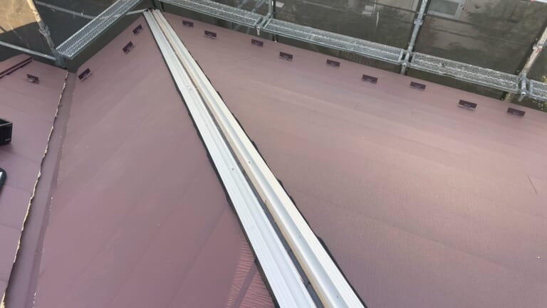 エスヌキの写真