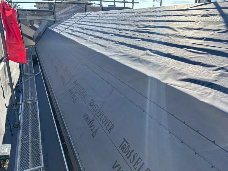 タディスセルフカバー