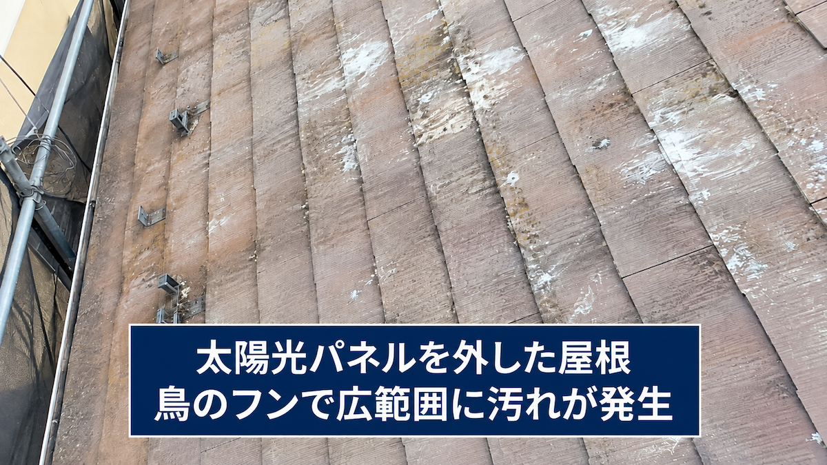 太陽光パネルを外した屋根　鳥のフンで広範囲に汚れが発生